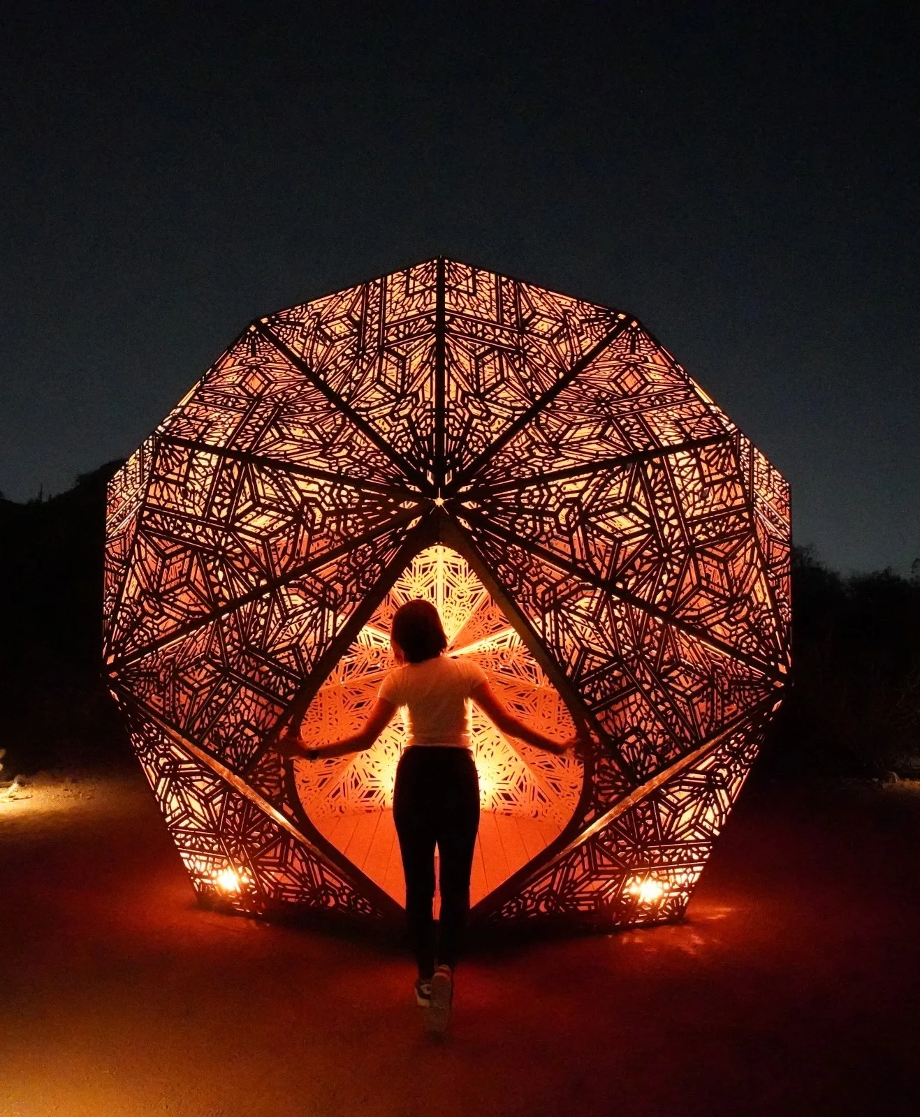 "Patterns in Nature: The Art of HYBYCOZO" - Insight