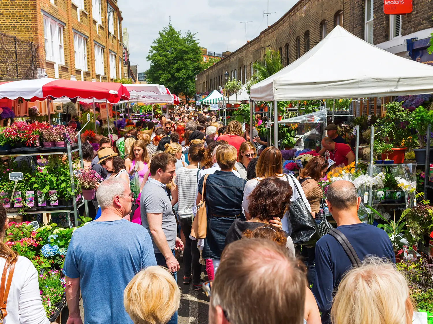 Columbia Road Flower Market