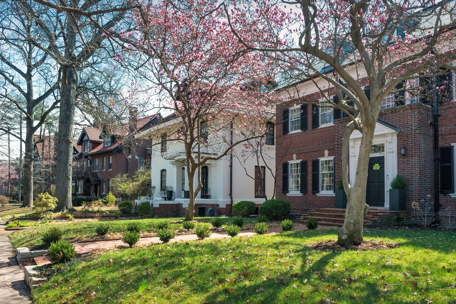 Houses in St. Louis neighborhood