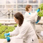 Scientists at Solis Agrosciences, a BioGenerator-founded contract research startup, conduct agtech research within the 39 North AgTech Innovation District.