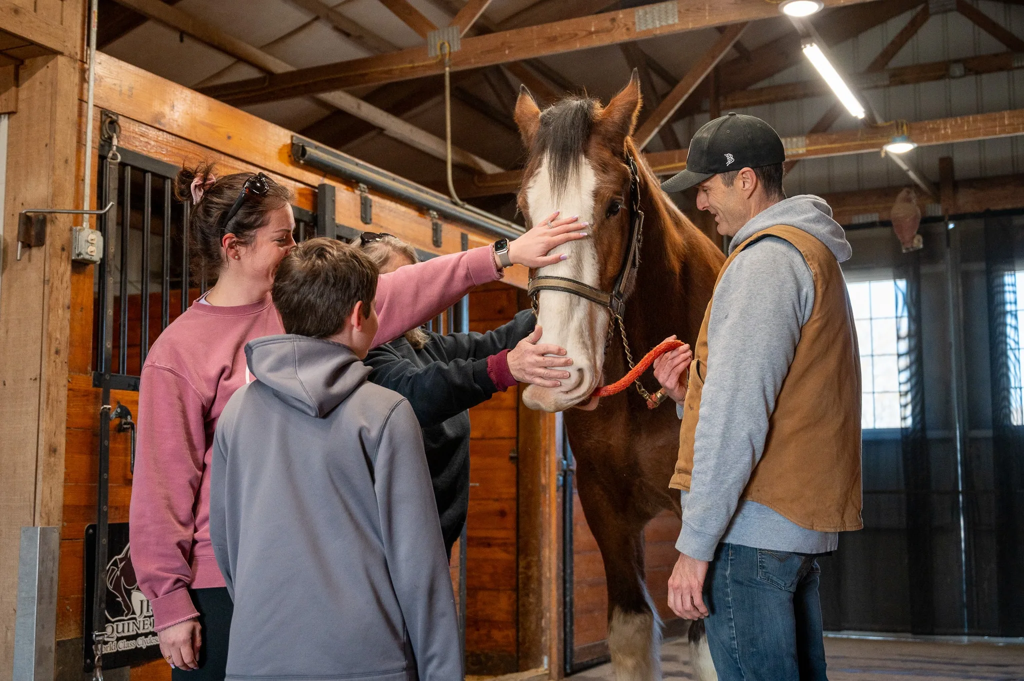 Clydesdale Experience at JFP Equine