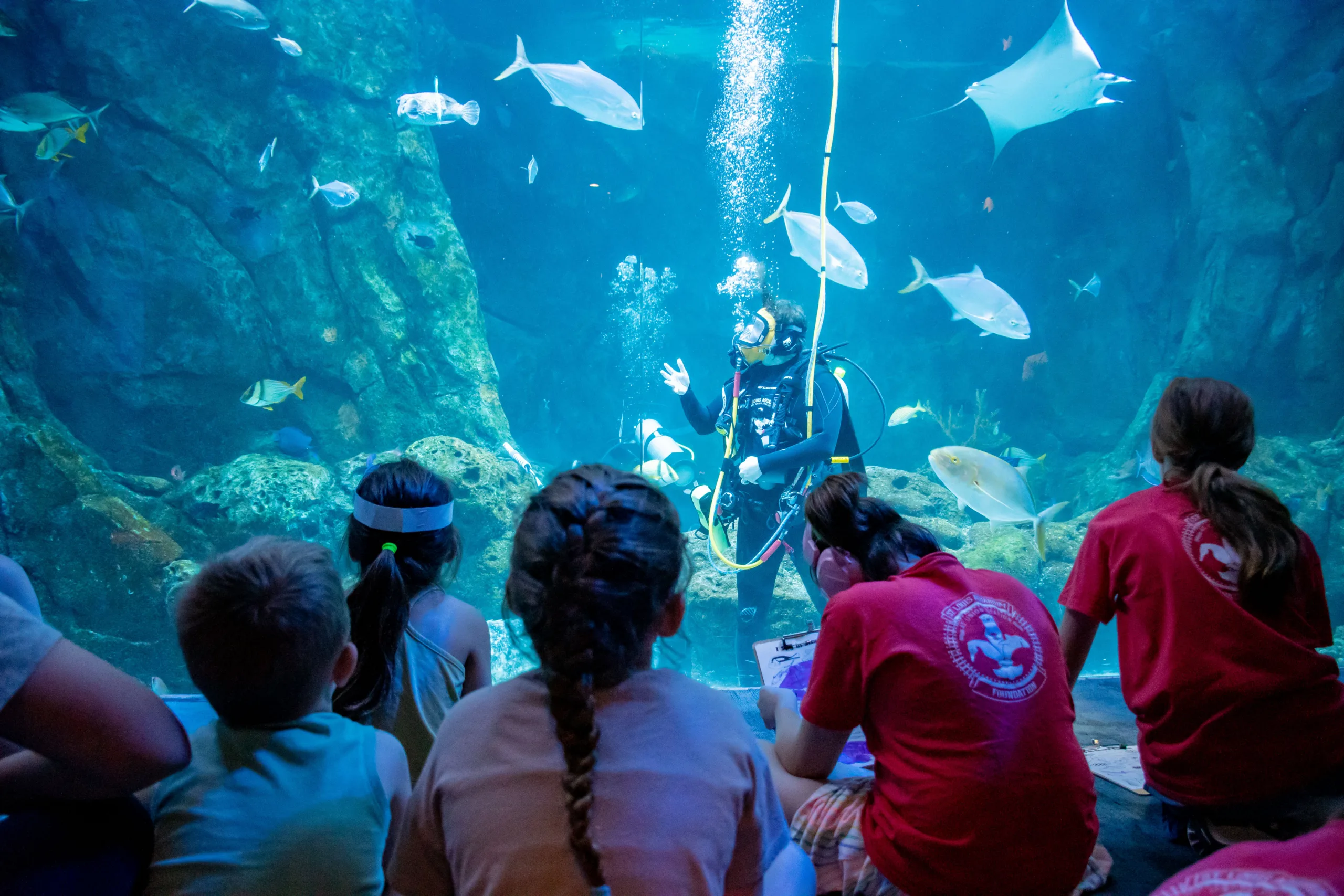 St. Louis Aquarium Foundation Camp