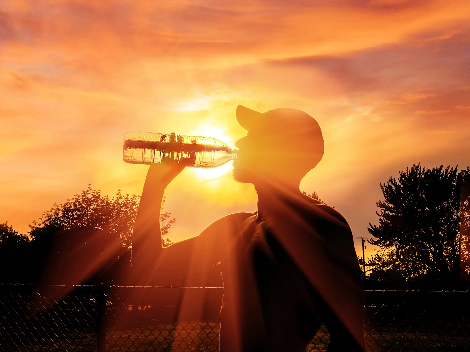 When the heat in St. Louis peaks in the summer, follow these recommendations to stay safe.