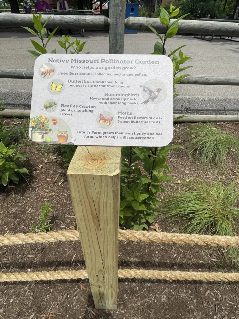 Grant's Farm opened its Nature Exploration Area in June 2026.
