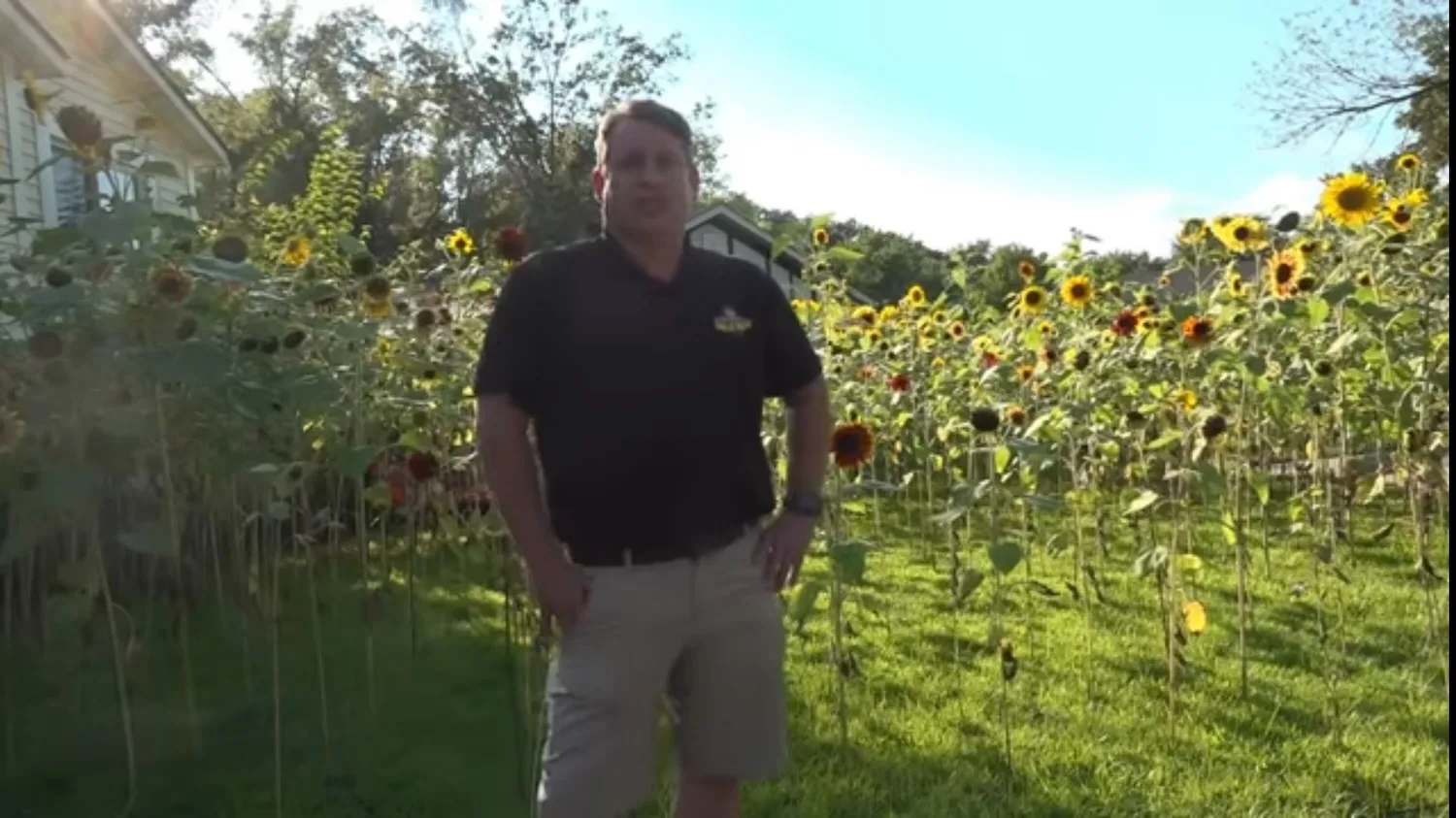 A man stands in front of a lot of sunflowers.