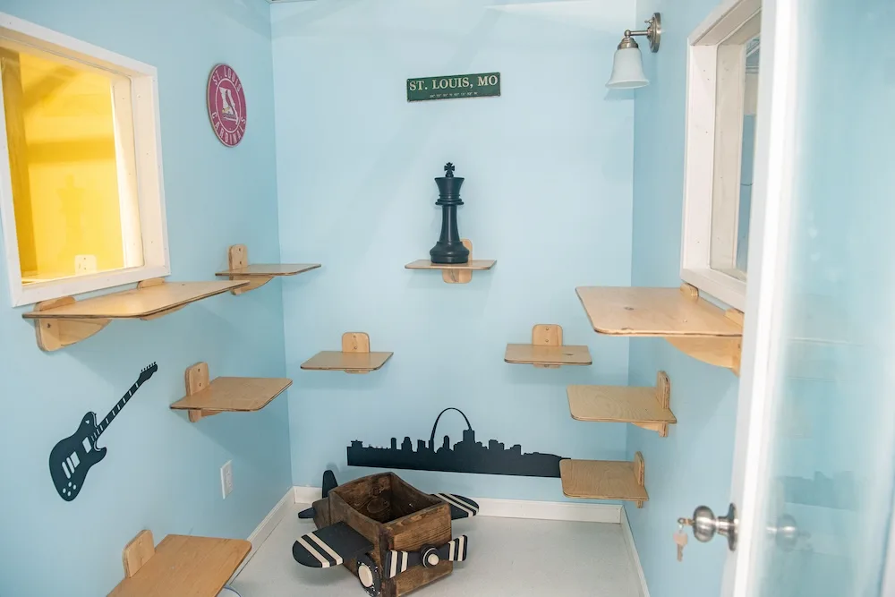 This St. Louis-inspired suite celebrates the city with local landmarks, playful décor, and plenty of climbing space.
