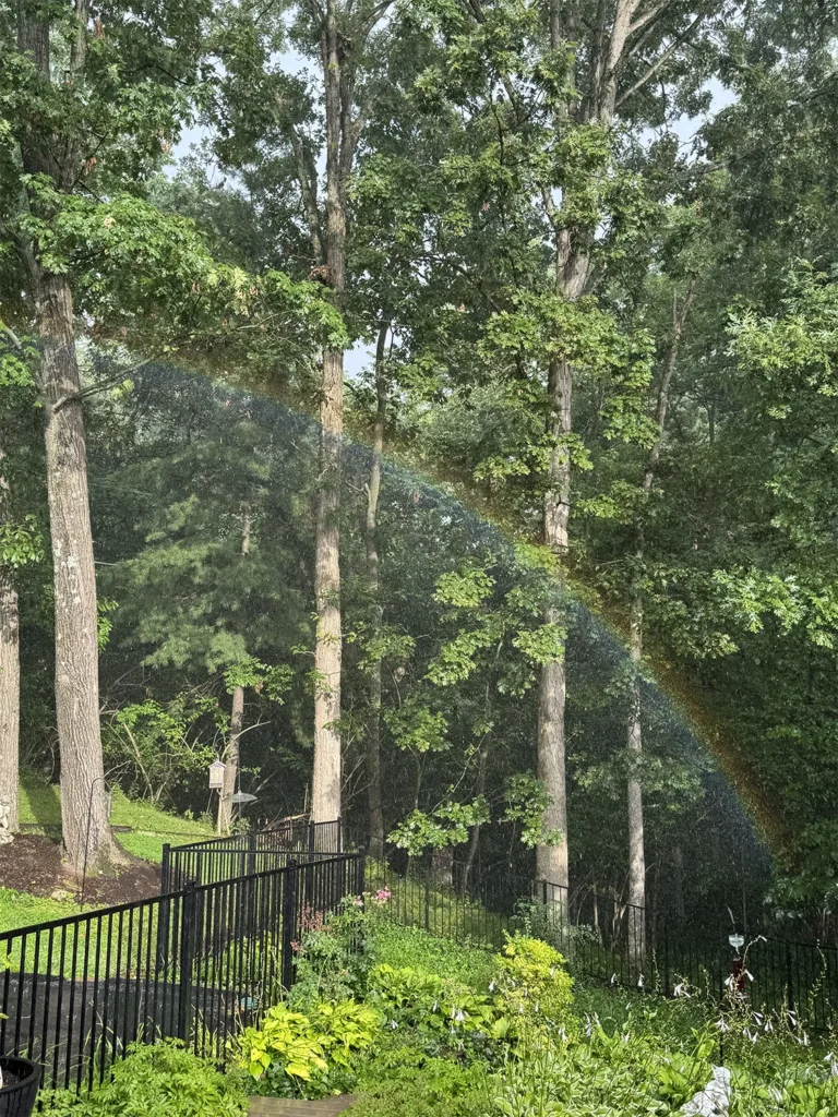 A sunny backyard with lush forestry, black iron fencing and a cascading rainbow.