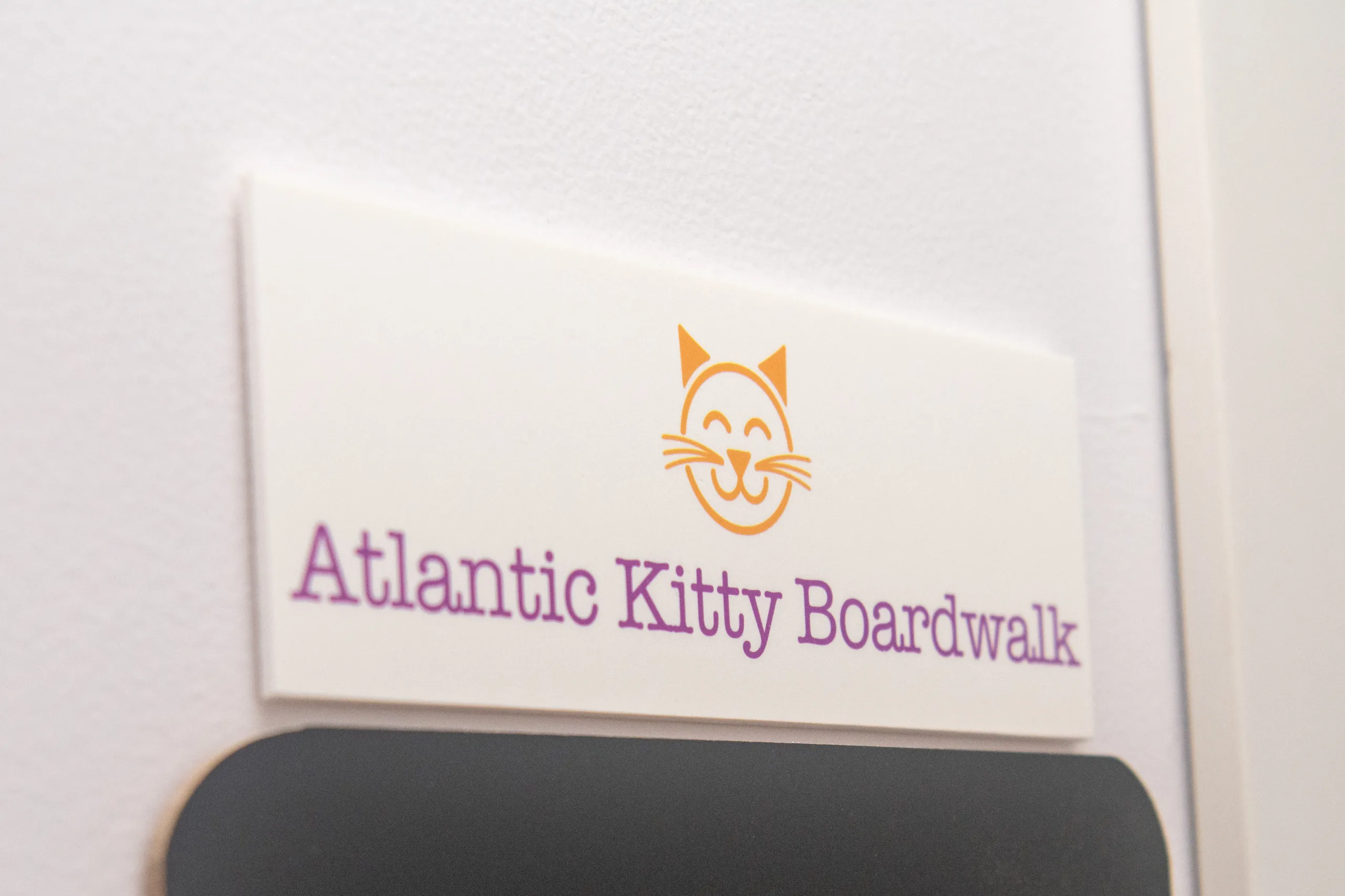 Atlantic Kitty Boardwalk Room