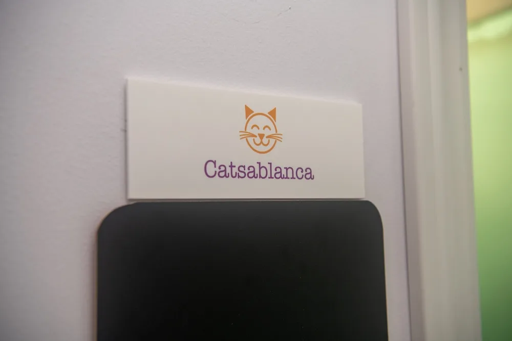 Catsablanca Room