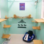 Inspired by the Atlantic City Boardwalk, this playful suite combines whimsical attractions with spaces for cats to climb and explore.