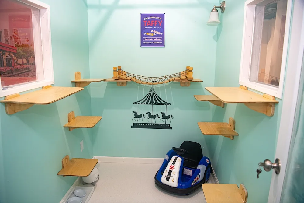 Inspired by the Atlantic City Boardwalk, this playful suite combines whimsical attractions with spaces for cats to climb and explore.