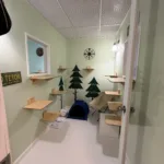 Outdoor adventure meets indoor comfort in this camping-themed suite designed for active and adventurous cats.