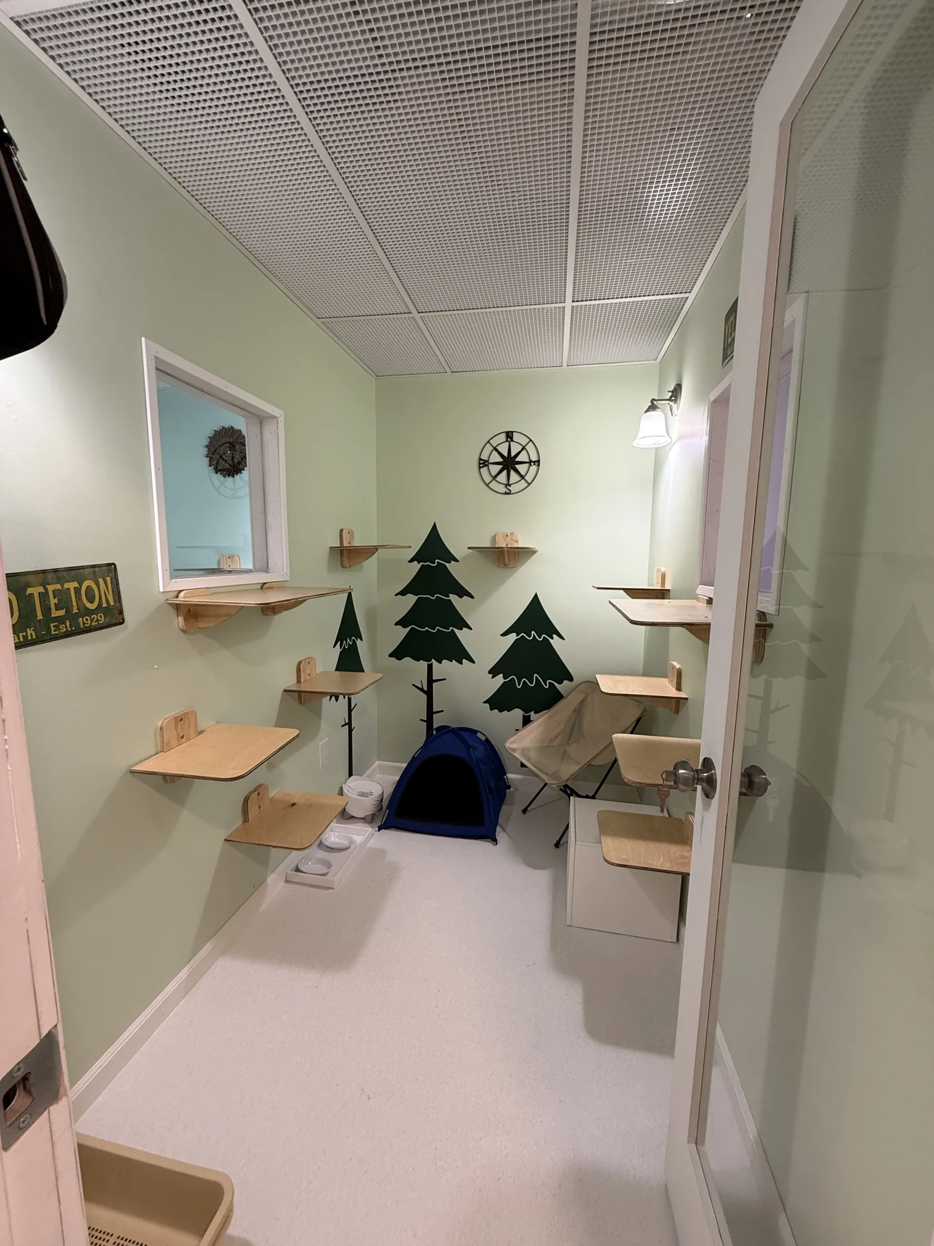 Outdoor adventure meets indoor comfort in this camping-themed suite designed for active and adventurous cats.