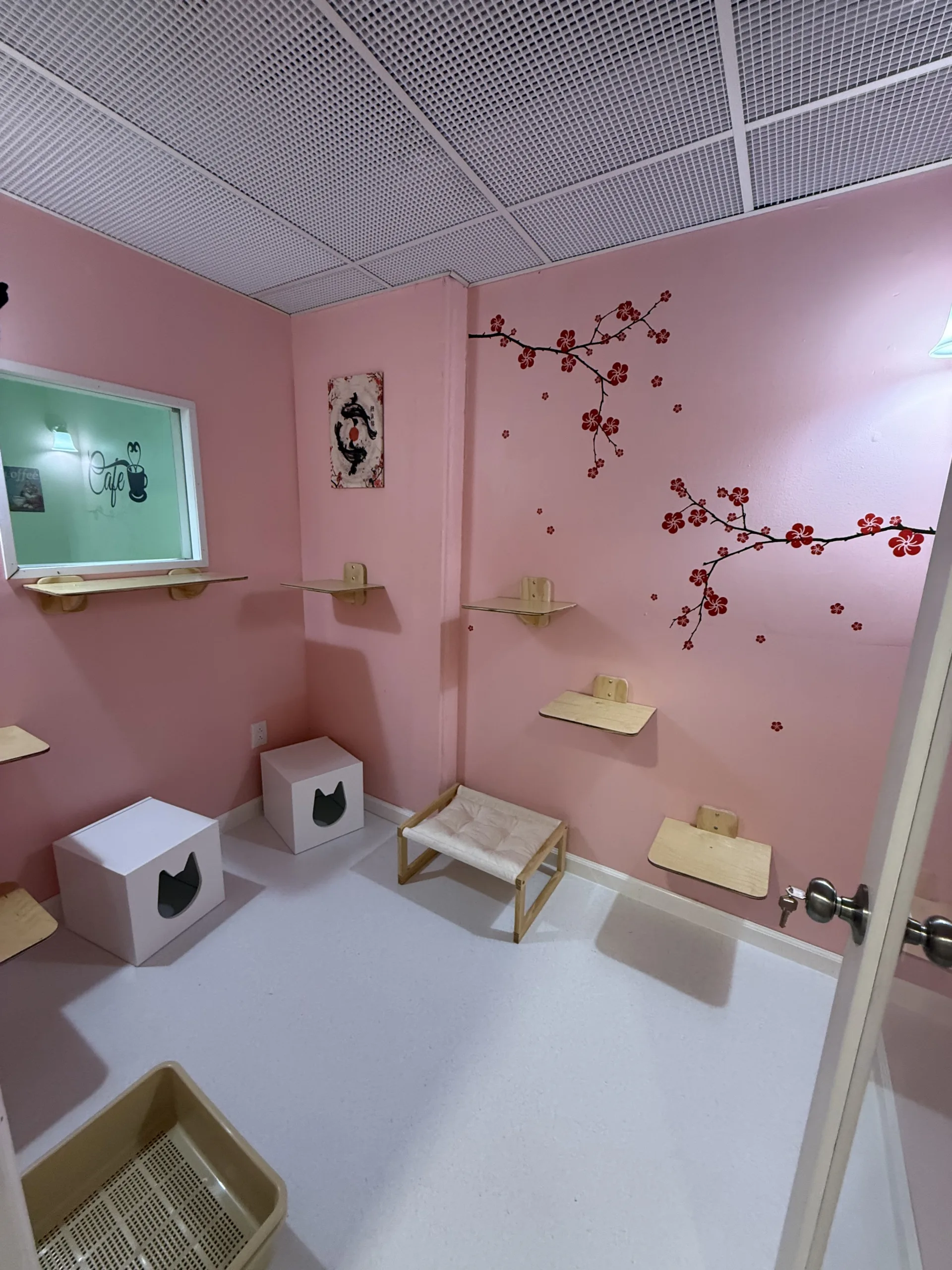 Soft colors and cherry blossom artwork create a peaceful retreat for feline guests.