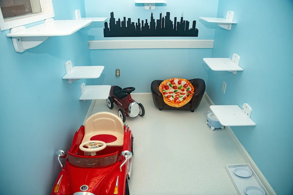 From vintage Italian cars to a pizza-shaped cat bed, this Italian-inspired suite adds a fun twist to every feline stay.