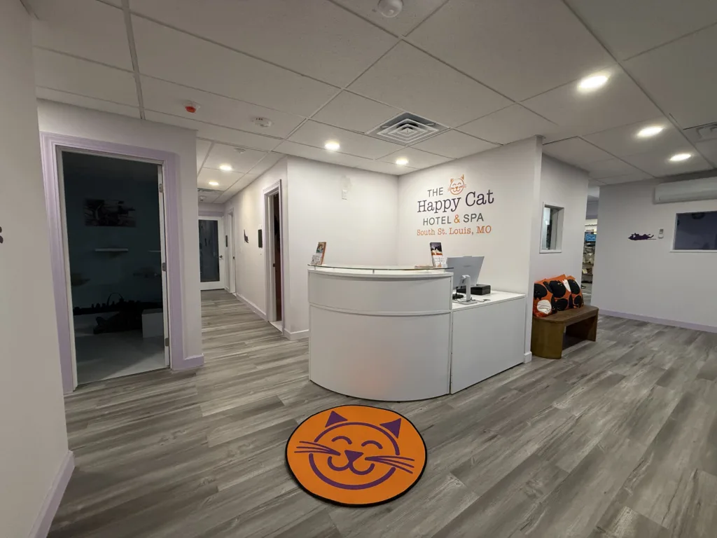 Happy Cat Hotel & Spa's bright, modern reception area