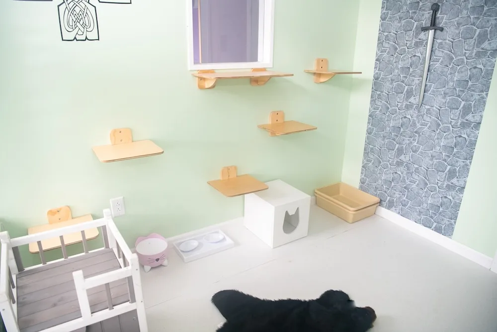 A medieval-inspired suite gives feline guests their own castle retreat complete with climbing shelves and themed décor.