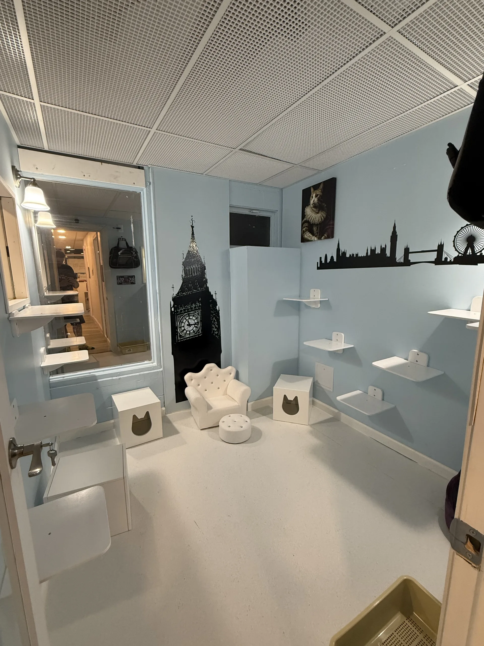 A London-themed suite gives feline guests a stylish place to climb, lounge, and explore.