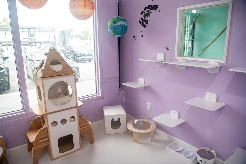 Cats can launch into playtime in this imaginative space-themed suite featuring planets, a rocket climber, and elevated perches.