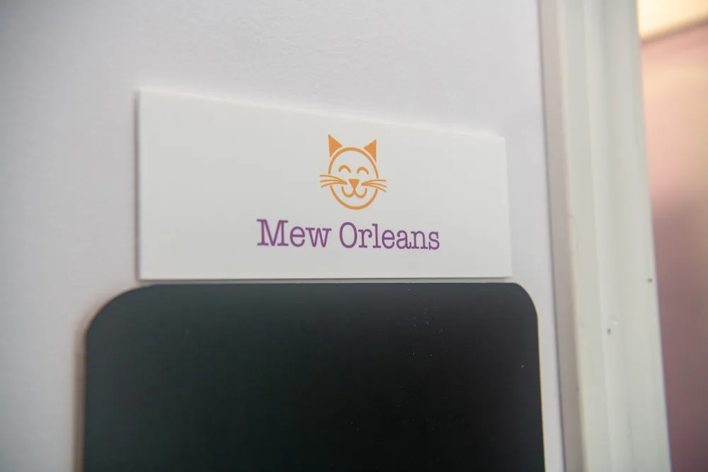 Mew Orleans Room