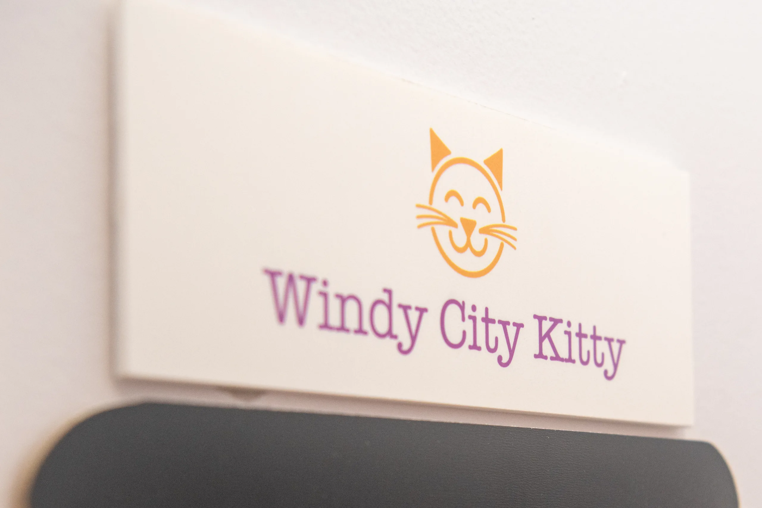 Windy City Kitty Room