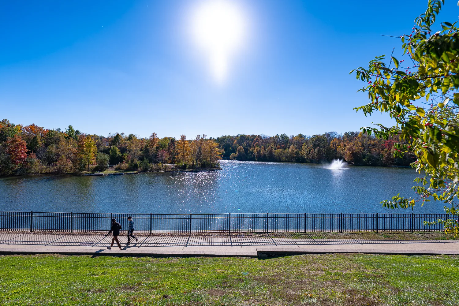 Chesterfield narrowly approves purchase of popular Central Park sculpture