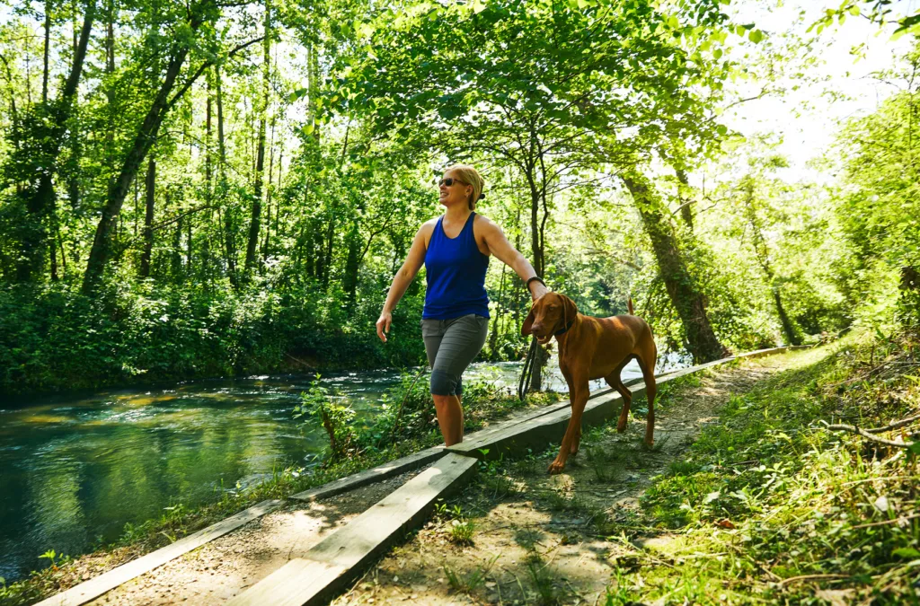 Pulaski County offers many scenic, pet-friendly riverside trails to explore.
