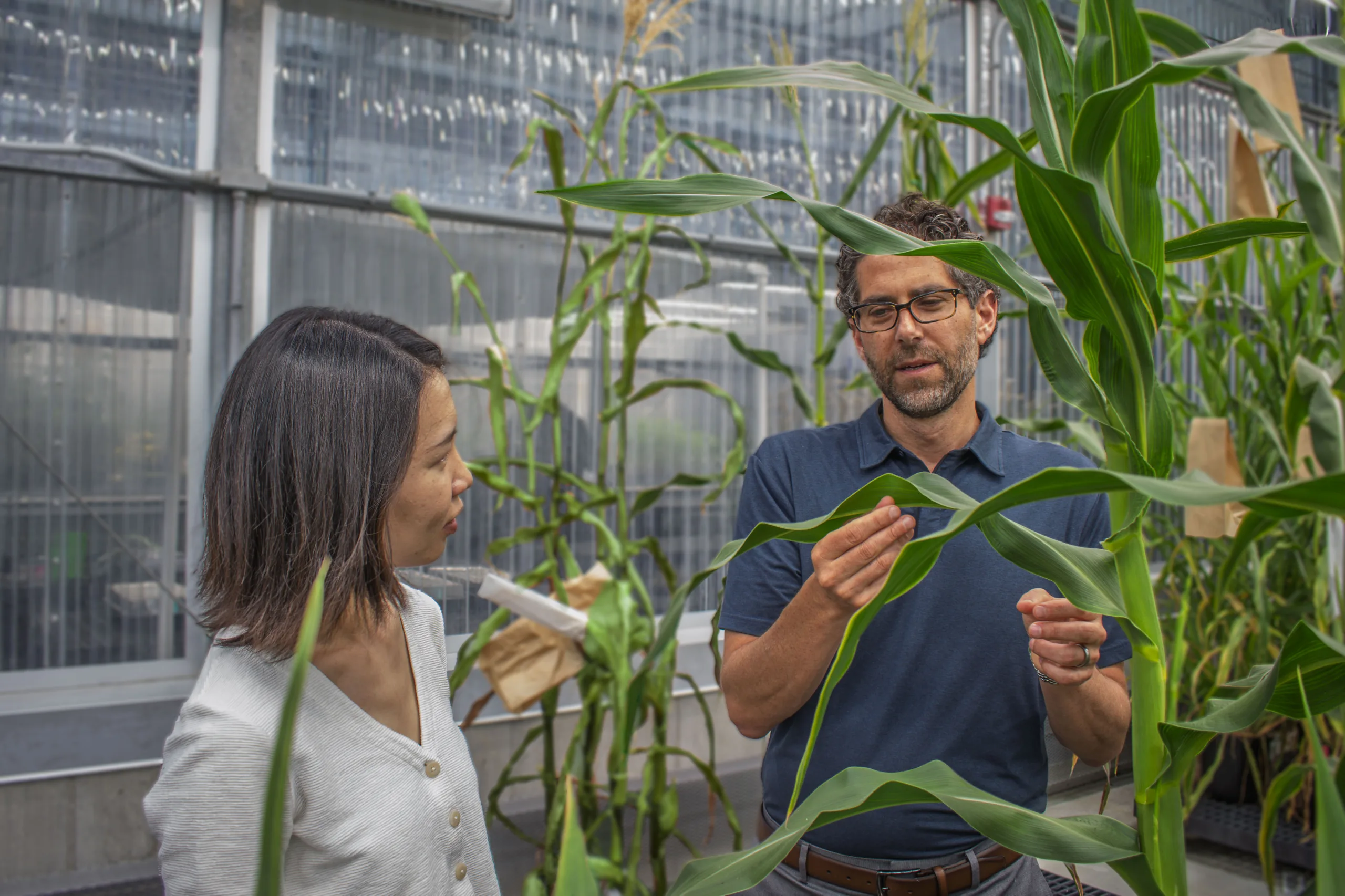 two people in a greenhouse.