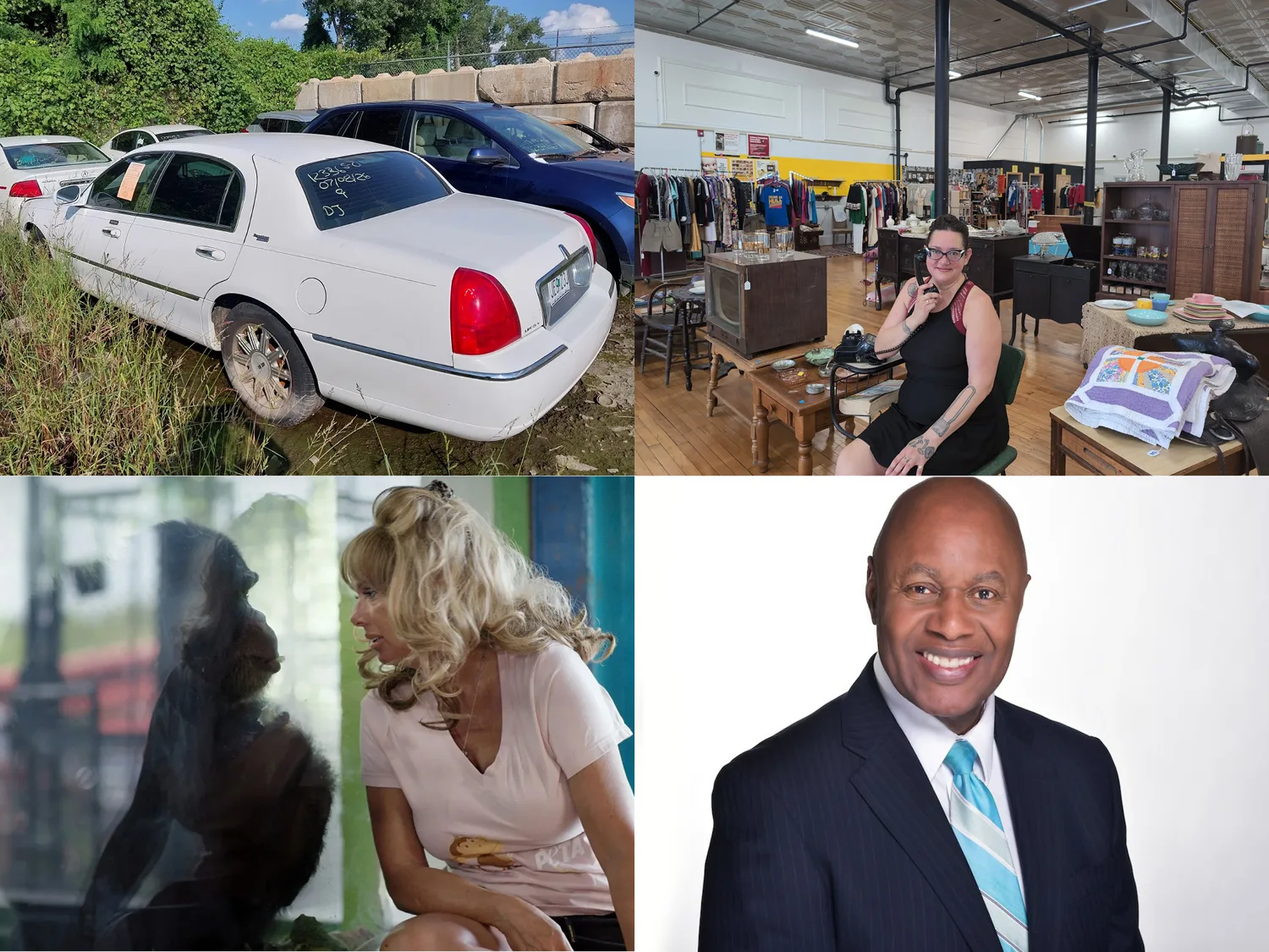 What’s True in the Lou? – 9/25/26