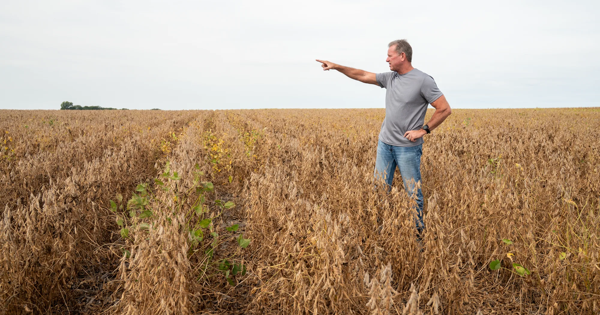 Crops grown for biofuels stand to boost farmers’ revenue amid ever-rising input costs