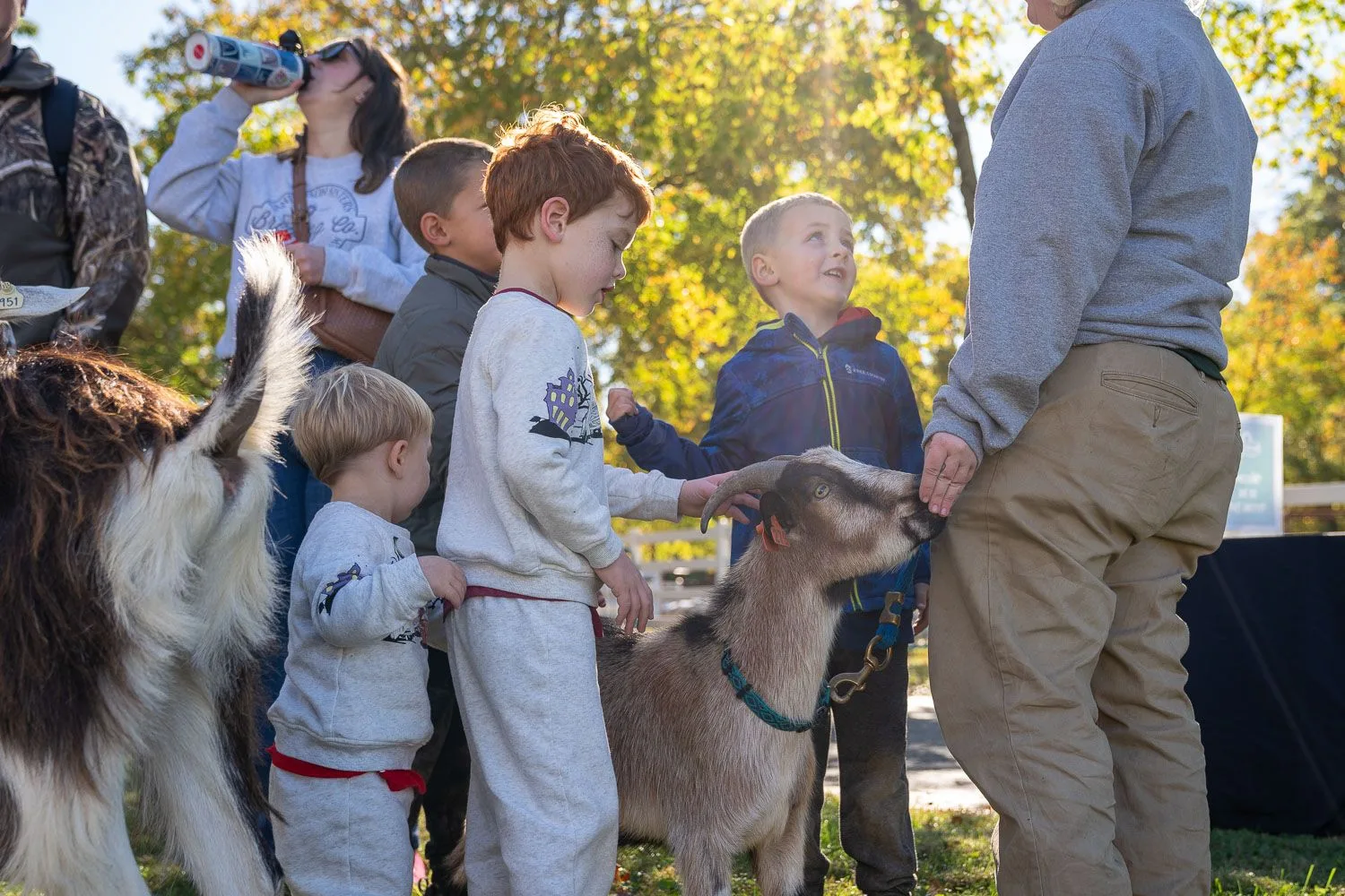 Photos: St. Louis Family Playdate at Grant’s Farm