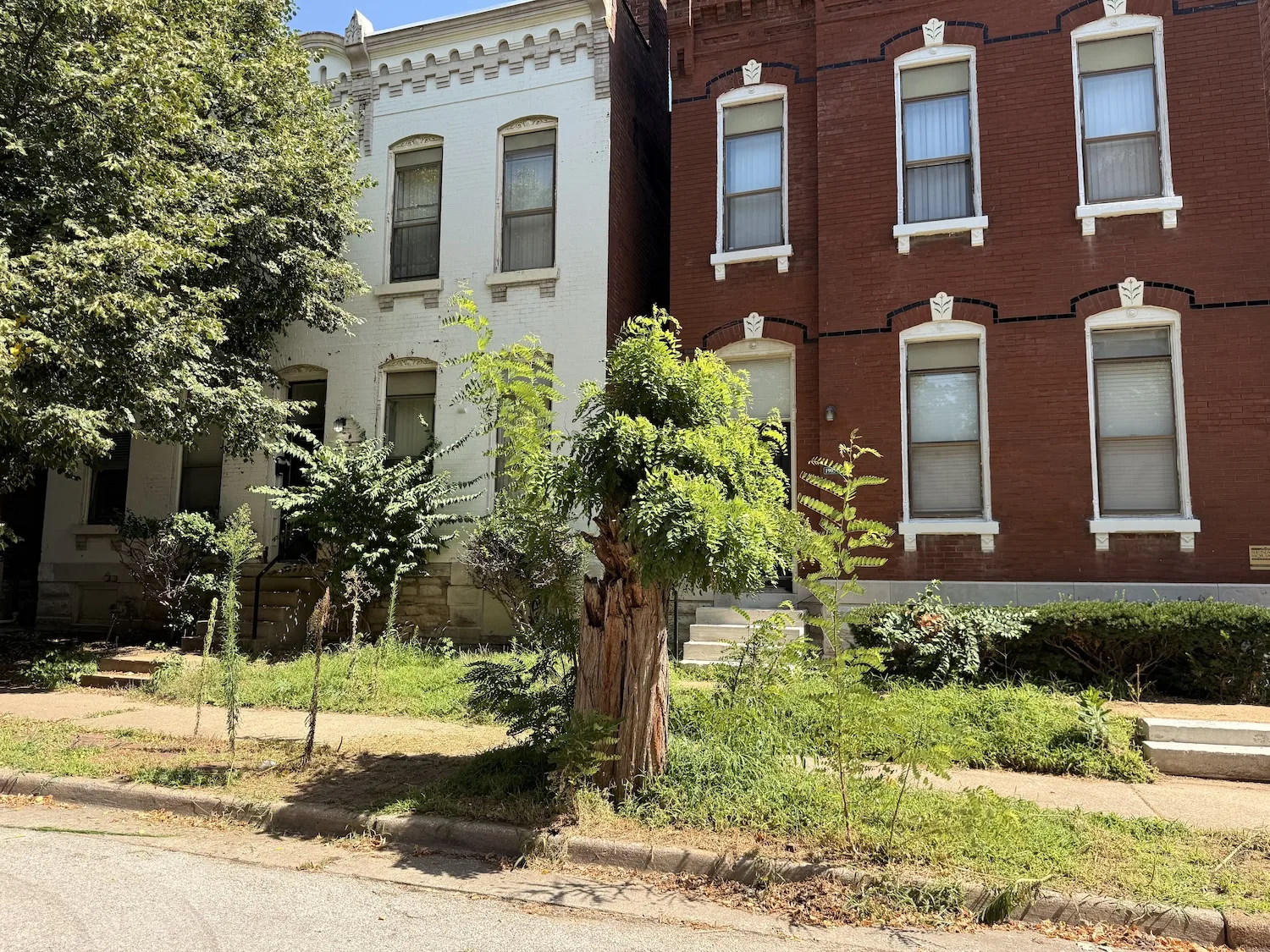 Senate Square auction gets cancelled, again
