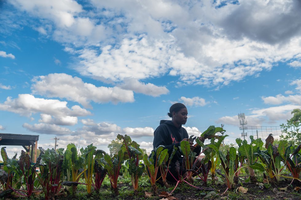 In Pine Lawn, a farm grows into a vision for community health