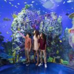 11-%20PHOTO_ATBB_Coral-Reef-Vaulted-View-2.jpeg