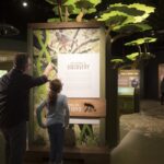 15_Becoming%20Jane%20Exhibit_20191204_0032_cr_Rebecca%20Hale.jpg