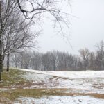 20200113_ZooNorth_0253.jpg