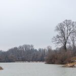 20200113_ZooNorth_0399.jpg