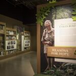 22_Becoming%20Jane%20Exhibit_20191204_0015_cr_Rebecca%20Hale.jpg