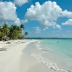 3565297670_8f6a8ebd61_o_MichaelMcCarthy.webp