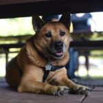 DSC_5040.jpg