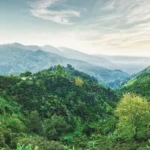 GettyImages-1158233209_BlueMountains.webp