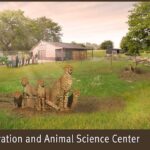 Rendering_Conservation%20%26%20Animal%20Science%20Center_Saint%20Louis%20Zoo.jpg