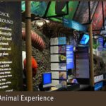 Rendering_Indoor%20Animal%20Experiences_Saint%20Louis%20Zoo.jpg
