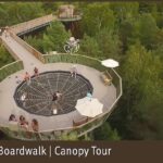 Rendering_Nature%20Boardwalk%20Canopy%20Tour%202_Saint%20Louis%20Zoo.jpg