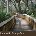 Rendering_Nature%20Boardwalk%20Canopy%20Tour_Saint%20Louis%20Zoo.jpg