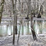Sangamon%20riveeAPRIL%202022_7694.jpg