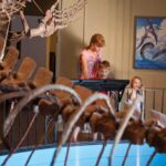 ku-natural-history-museum-2.jpg