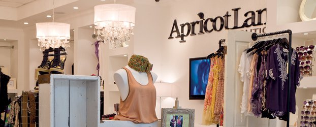 A Walk Down Apricot Lane