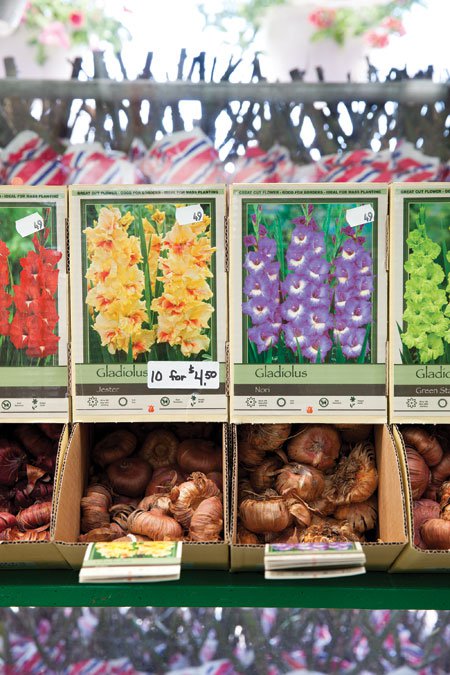 Web Gallery: Bayer’s Garden Shop