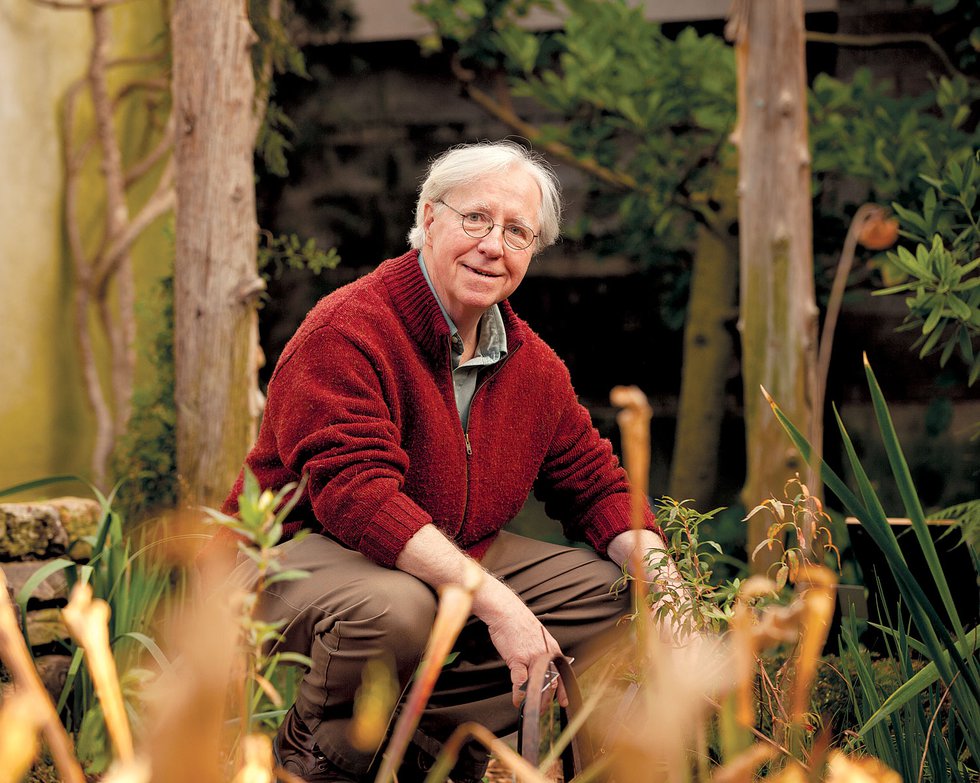 Expert Wisdom: Green Rules of Thumb
